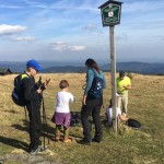 43618940_2235304563147791_2899761751308369920_n