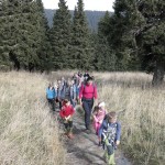 43709490_2235307479814166_6071930849882800128_o